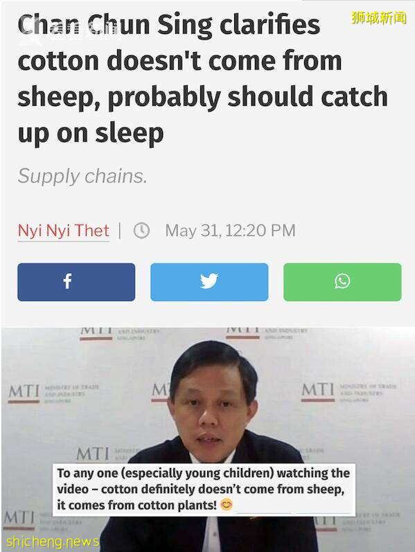 新加坡部长神口误“棉花来自绵羊”逗乐自己，网友感动：快歇歇!