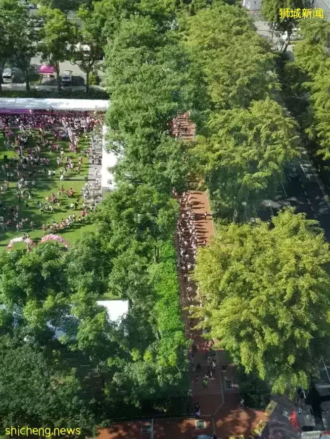 新加坡Pink Dot 6月18日回归，大量人群排起长龙现场非常热闹