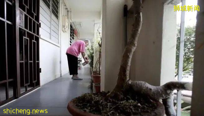 好消息！政府要調整CPF和填補保健儲蓄啦！給國民造福利