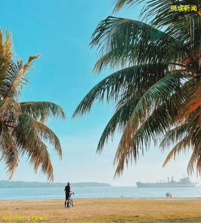 騎行必看！新加坡全島自行車租賃指南，低至$5/天