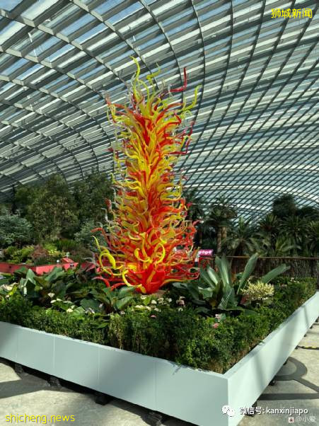 视觉冲击力超强,巨型玻璃雕塑“攻占”新加坡滨海湾