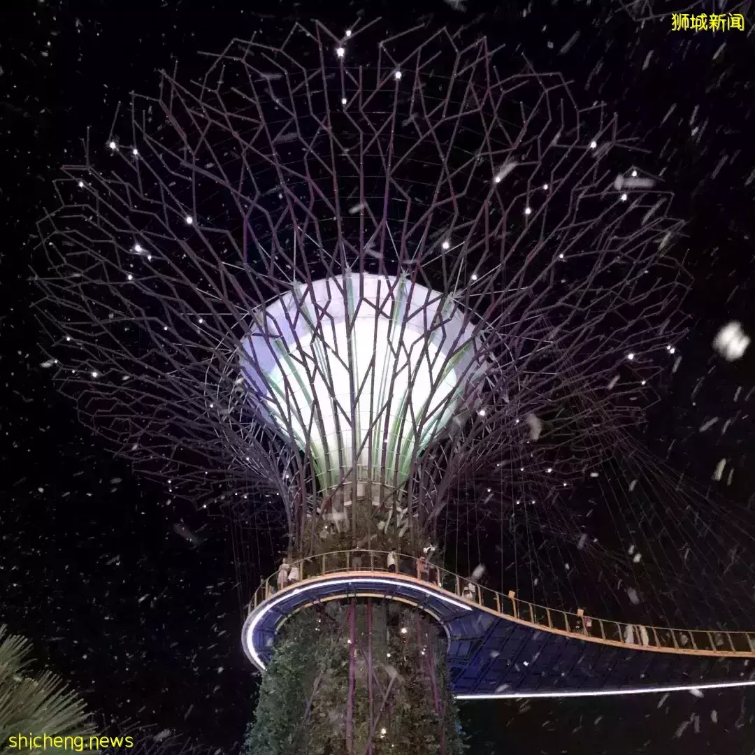 留學新加坡值得一輩子懷念嗎