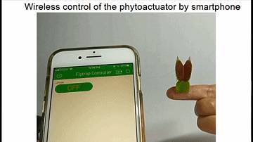 植物也能聯網!新加坡科學家研發植物機器人,可用于觀測植物健康和病蟲害預警