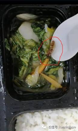 中国客工爆料：新加坡宿舍疫情爆发、吃住环境差；爱心人士积极捐急需物资