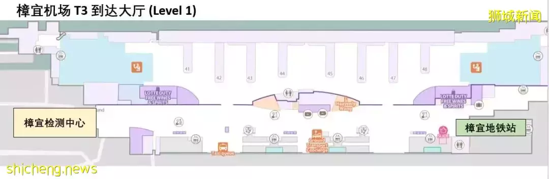 从新加坡回国规定更严了!登机前4次检测!飞广州单程7万人民币