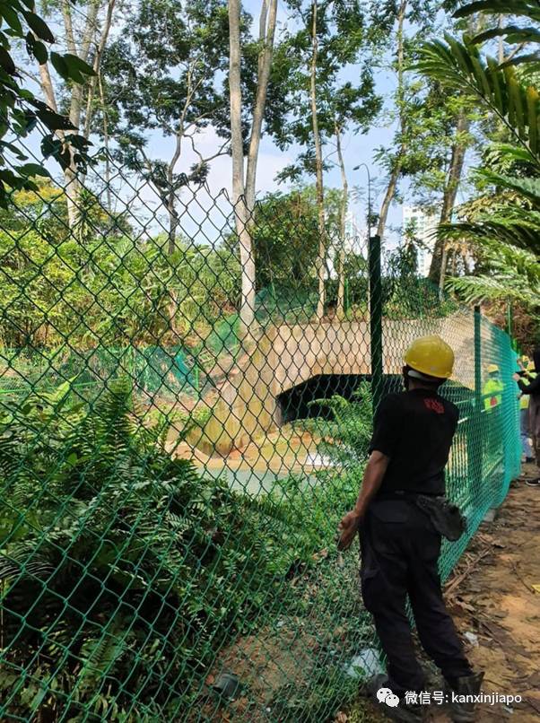 新加坡网红“瀑布”装上围栏,自然公园不再“自然”