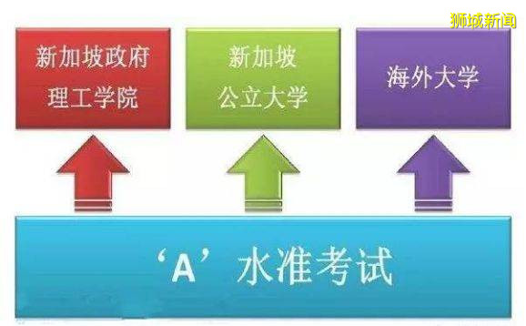 新加坡高等教育全剖析,理工學院、公立大學、私立大學