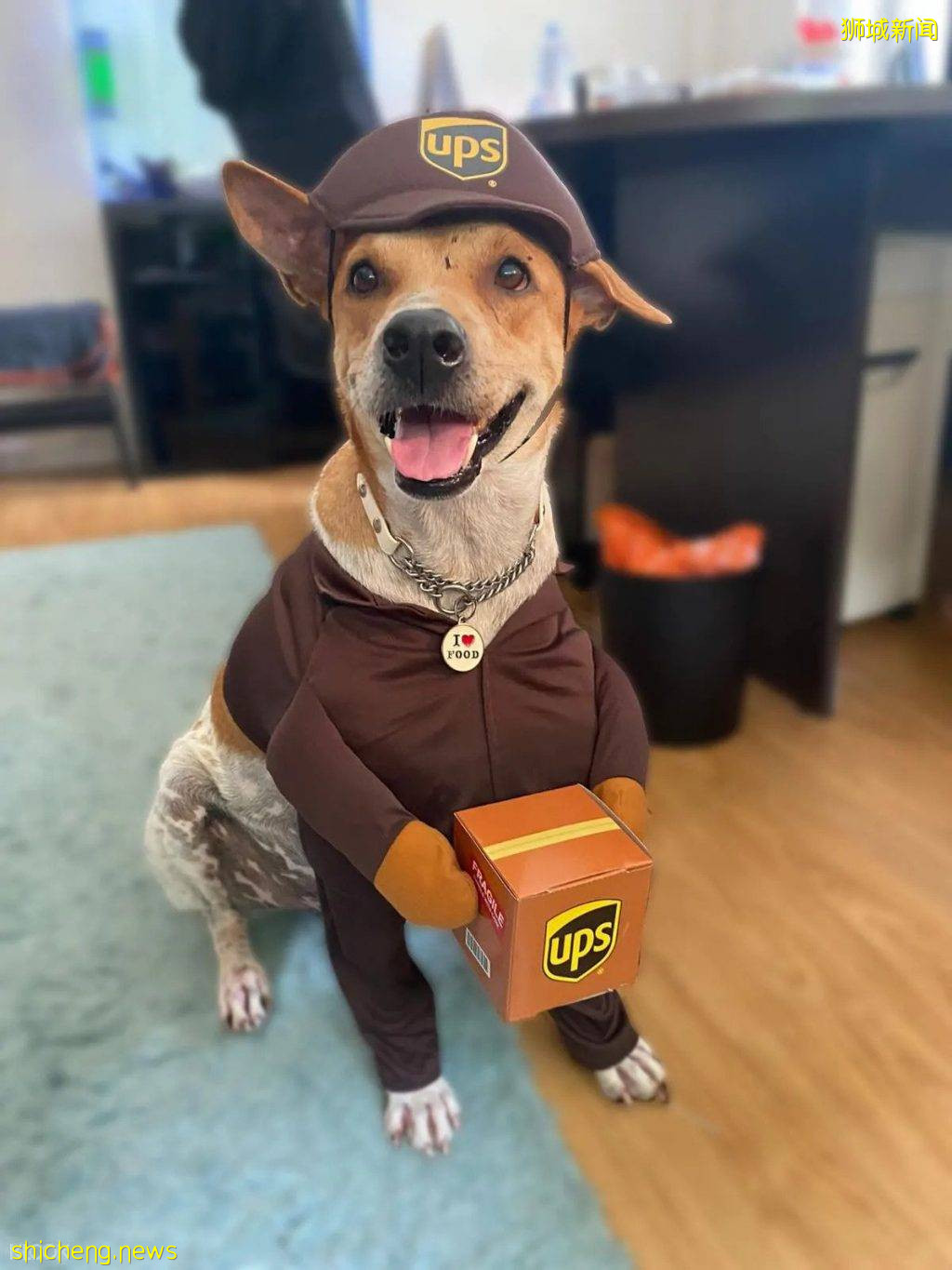 新加坡萬聖節"幽靈鬼船"來了!登上Royal Albatross的Ghost Ship Cruise🚢驚險詭異,夠膽才能來👻