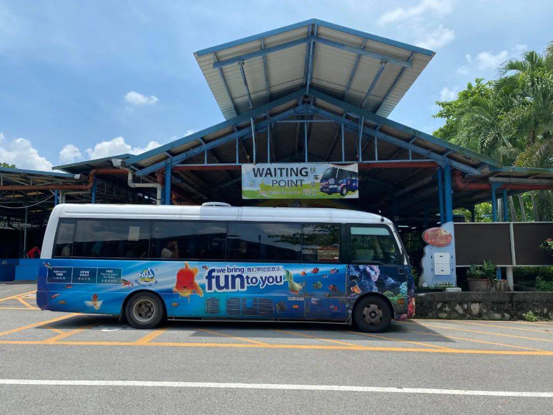 餵羊、擠奶、了解青蛙生長過程,新加坡的農場這麽牛