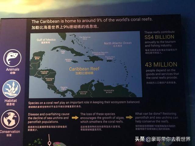 新加坡不枉此行的10大看點（中）分三集介紹