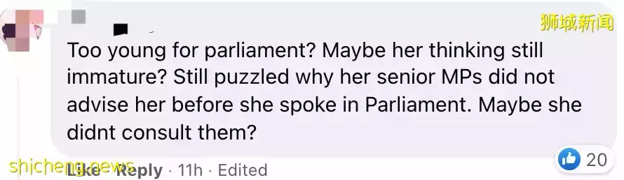 新加坡女议员撒谎3次后,请辞国会并退党!盛港区谁来管