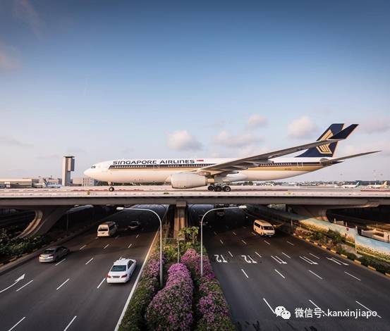 旅遊局動作頻頻，與國內外合作，就是要讓新加坡旅遊業再次瘋狂起來