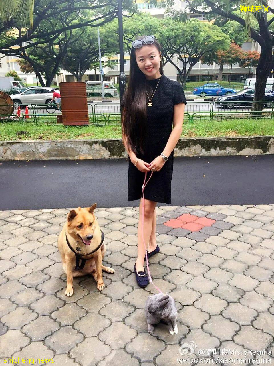 “我最亲爱的四喜走了,带走了我在新加坡16年的青春和回忆...”