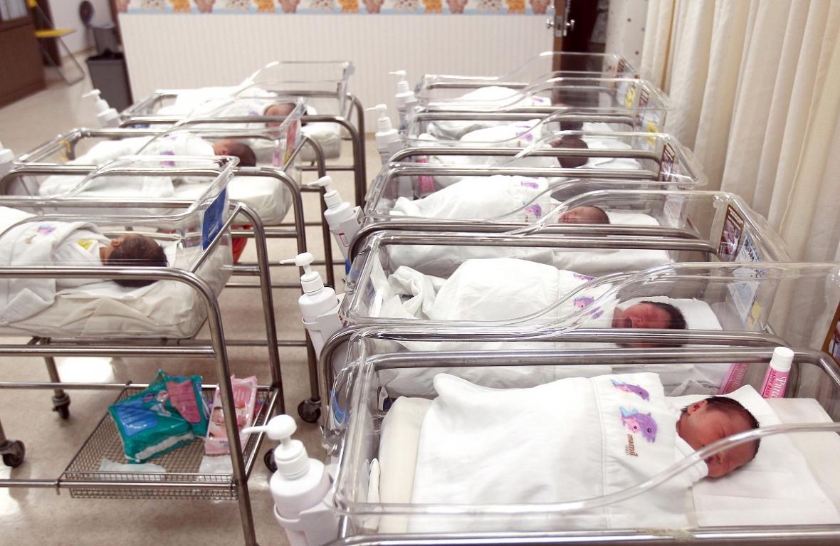 国人再不生孩子，政府就被迫放宽移民政策？