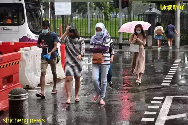 专家:新加坡或已达到一定的群体免疫!公布病例、死亡没必要