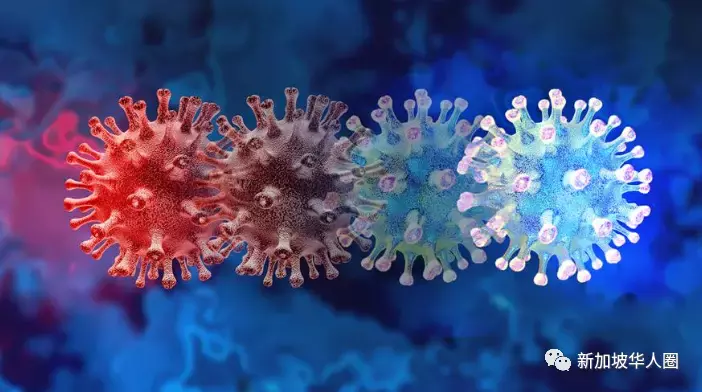 新冠病毒再次变异成德尔塔克戎,专家:较不会发生在新加坡