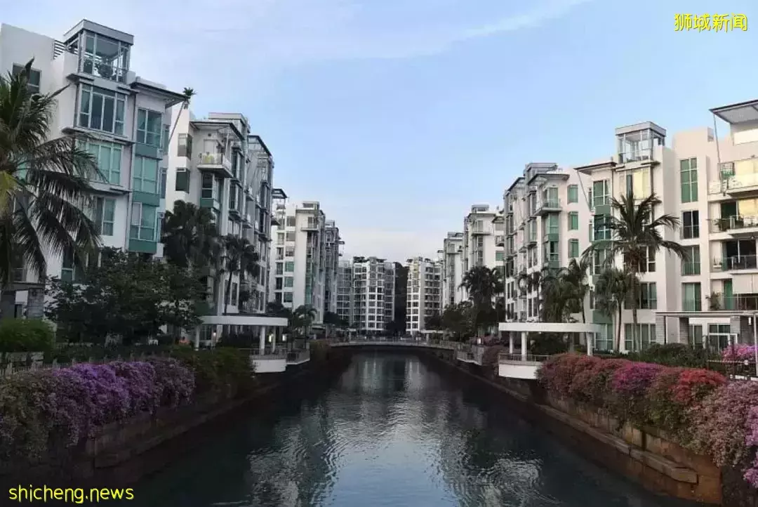 破纪录!这对夫妻在新加坡被罚115万新币!这25件事一定不能做,违法罚钱