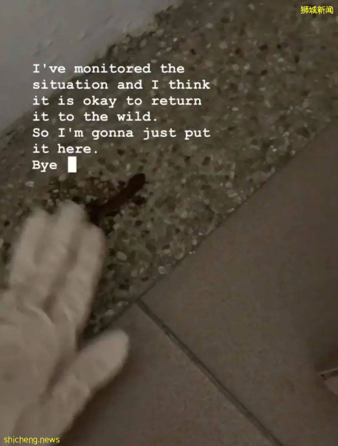 NTU 一女生发现胸贴意外丢失,究竟是谁在作祟