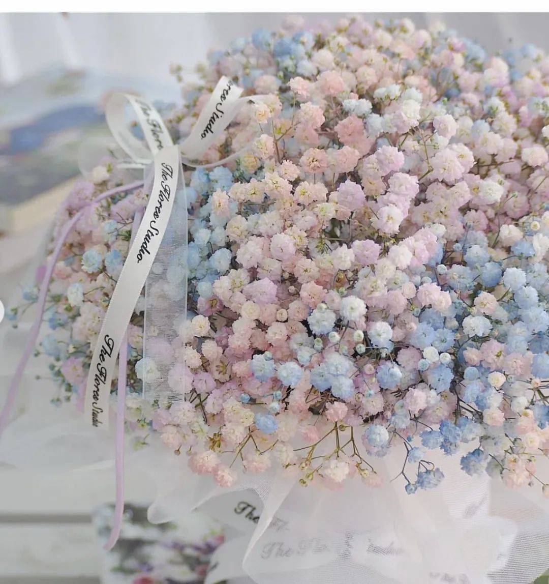 新加坡哪裏買花最劃算，最有創意？想表白，看這裏