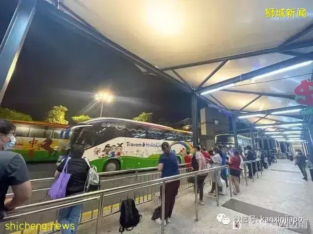 经济快捷!新加坡 吉隆坡豪华巴士了解一下