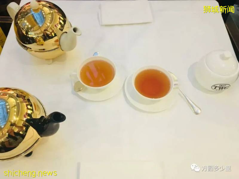 北緯1°，遇見新加坡!