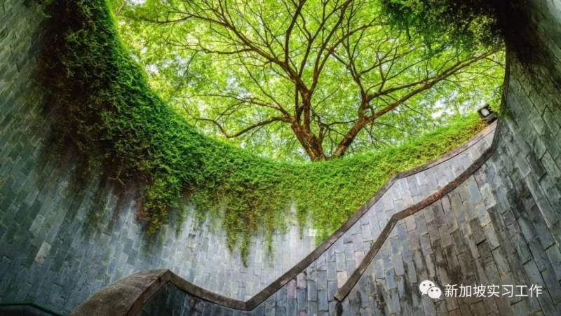 新加坡的年轻人都爱去哪儿嗨