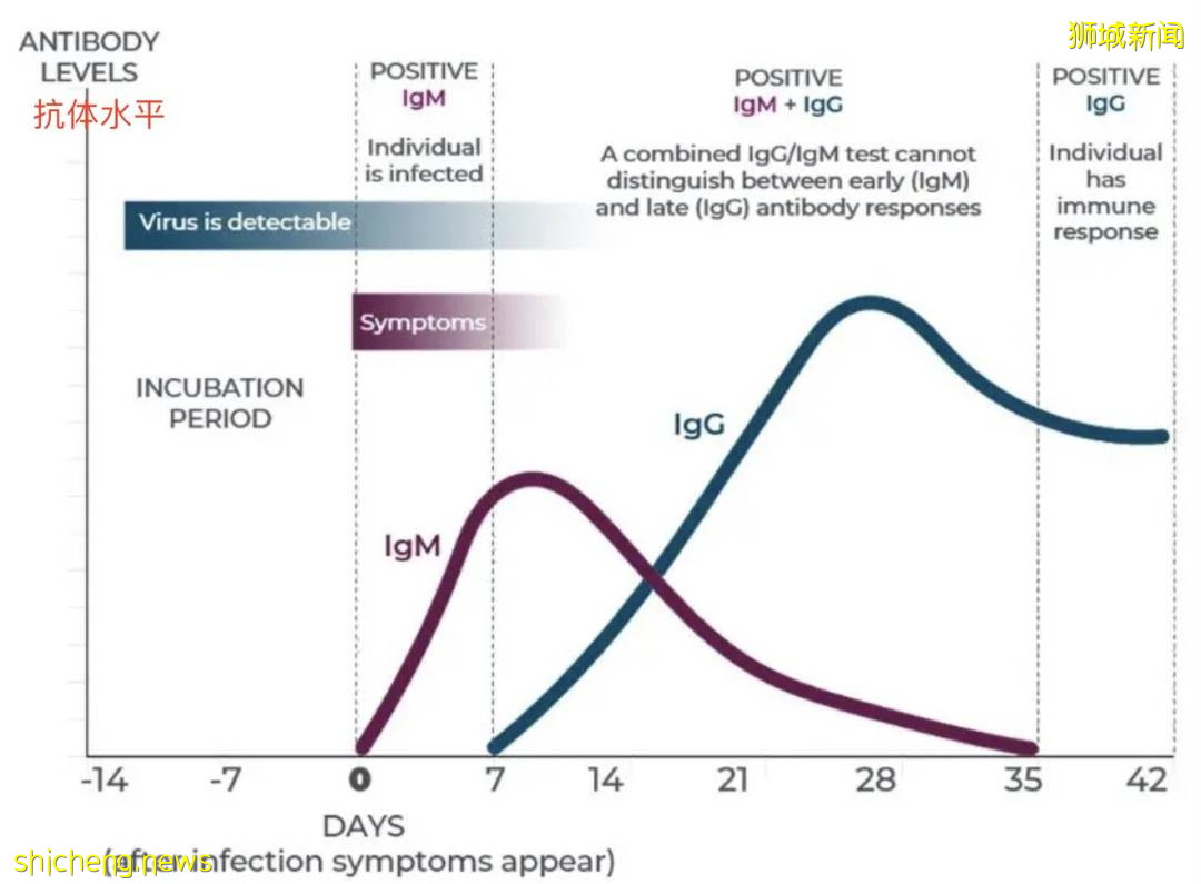 “我在新加坡打完輝瑞疫苗回國,抗體陽性被送醫院隔離!”接種疫苗後,要怎麽回國