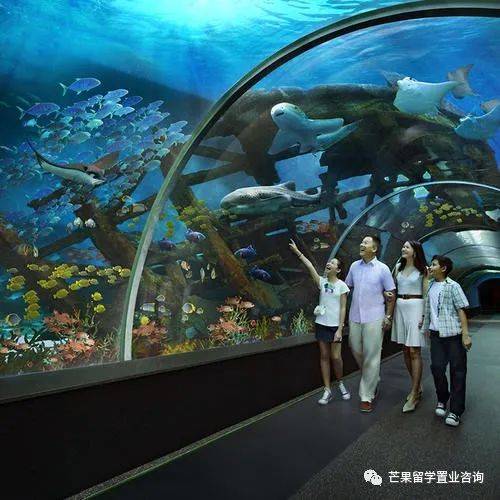 新加坡“親子娛樂”好去處盤點(1)