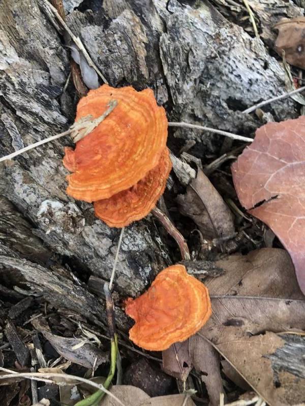 精彩国内游:新加坡南部岛屿休闲之旅