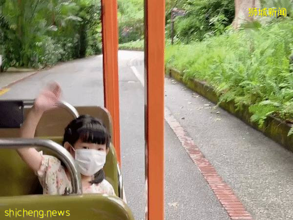 门票6折！一只恐龙有多大？亚洲首个积木恐龙世界，超过60只在新加坡动物园和河川生态园与你捉迷藏