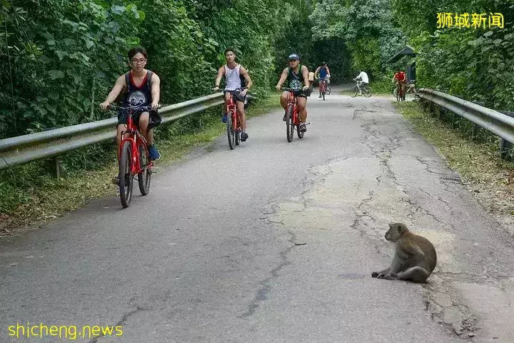 超级奶爸!带着2岁女儿骑行17小时166公里,环游新加坡