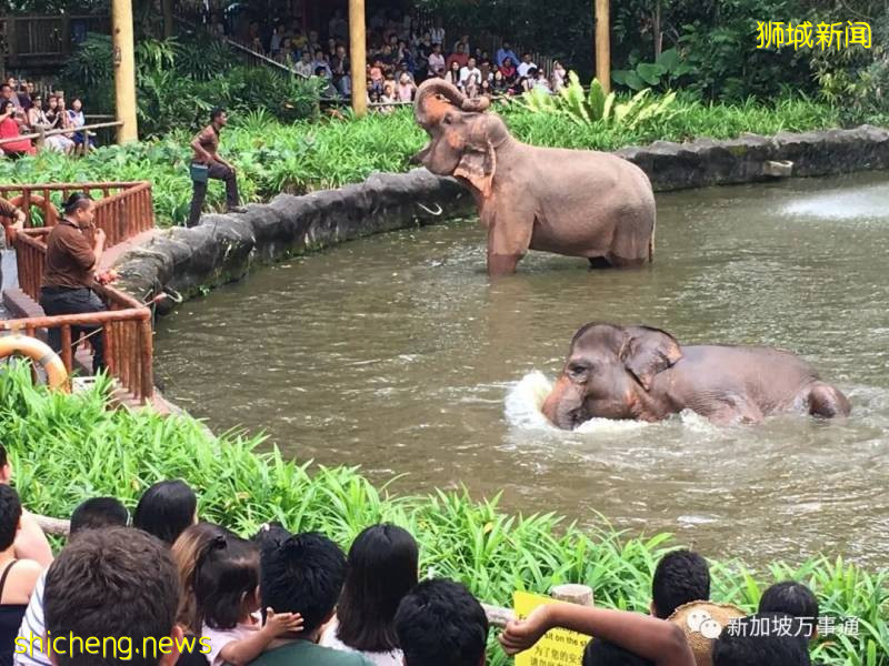 什麽是新加坡?盤點那些你不知道的新加坡知識