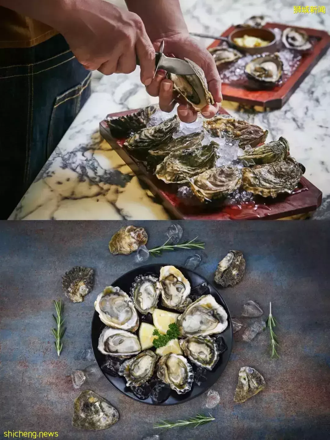 新加坡宝藏餐厅!每周五$1/个生蚝畅吃,是大海的味道啊