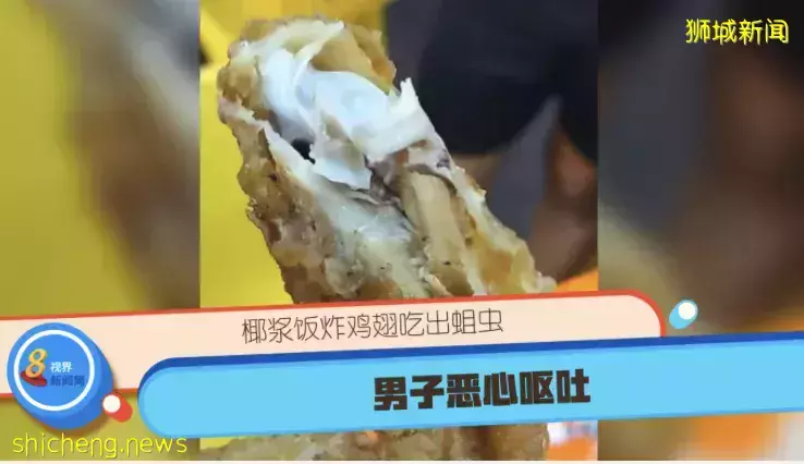 椰浆饭炸鸡翅吃出蛆虫 男子恶心呕吐
