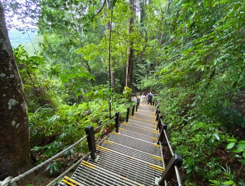 九九重阳,登高敬老。你爬过新加坡最高的山吗?俯瞰狮城的最高点