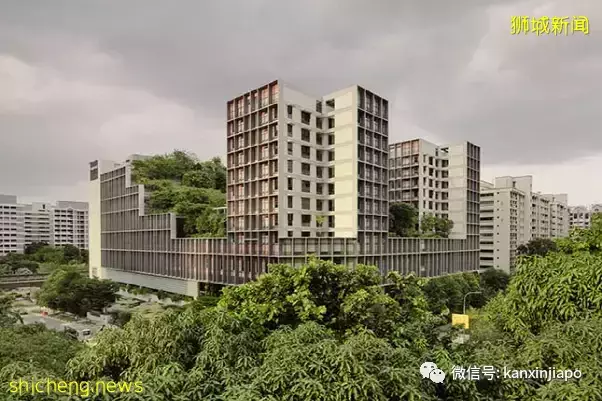 新加坡的這個地方居然是“非物質文化遺産”，你一定去過