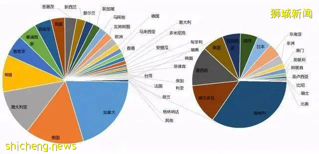 为何选择“不站边”的新加坡