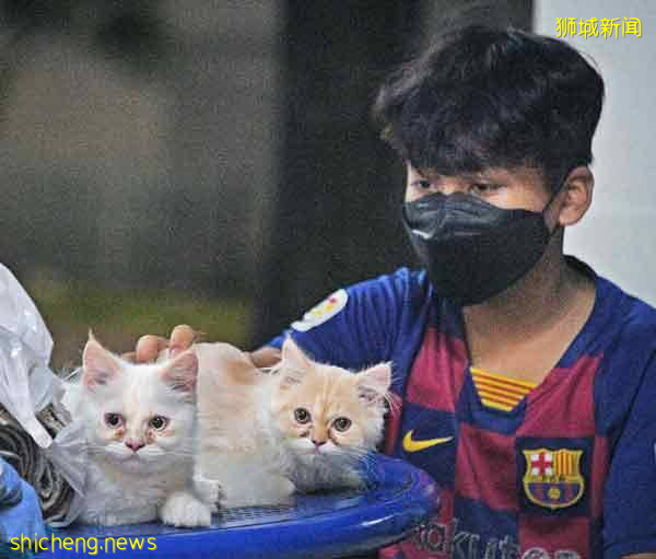 住家起火 屋主冲入火场 救猫