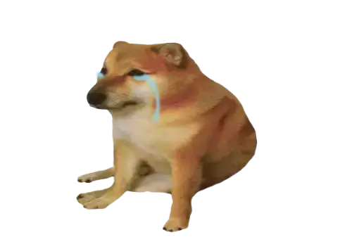 【苟活】我是新加坡第一個因爲大姨媽失血過多而進急診的衰狗嗎