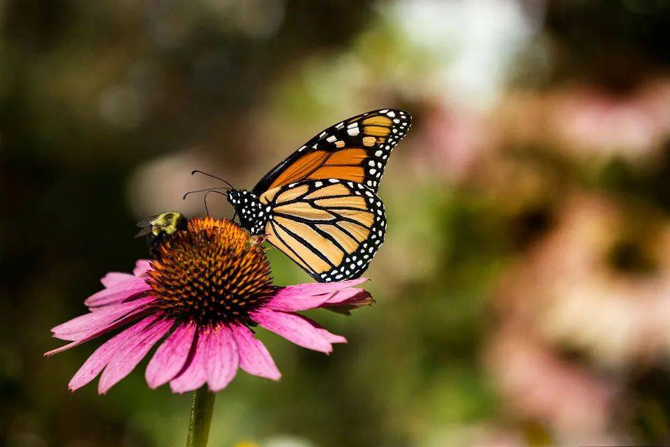 在新加坡生孩子是怎样的体验？高龄产妇育儿记