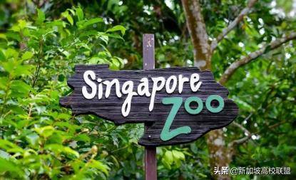 新加坡生活圖鑒 有什麽是到了新加坡才知道的