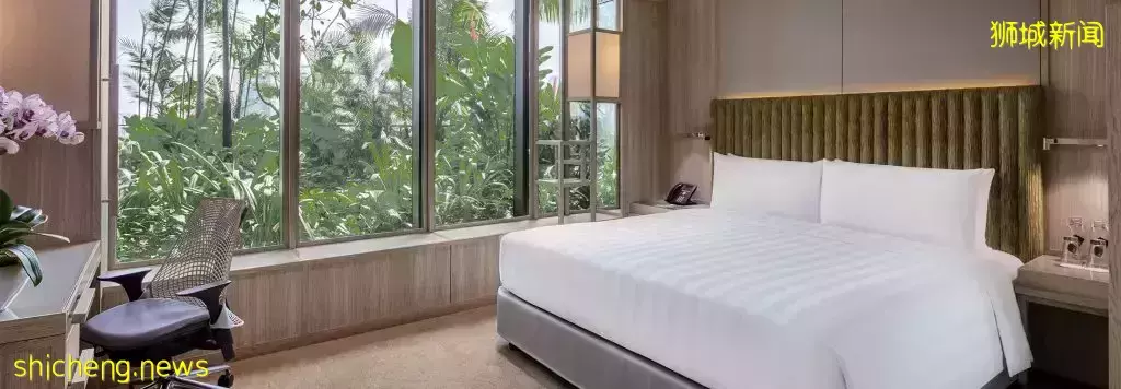 新加坡雙十二購物攻略來了！半價帶走iMac，$100入住豪華酒店，Nike、Lululemon、Dyson、UA超高額返現