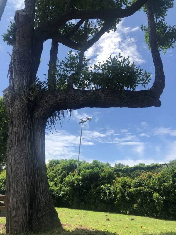 精彩国内游:新加坡南部岛屿休闲之旅