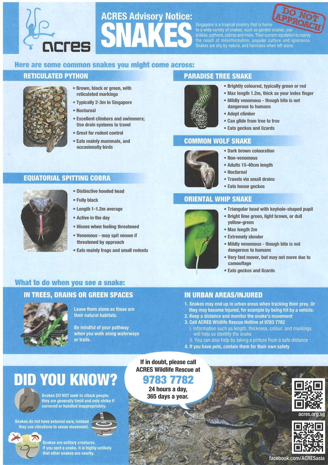 莫慌!在新加坡看到巨蟒游泳冷静处理最安全