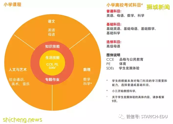 小一报名倒计时！新加坡小学都在学什么，要如何准备