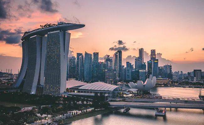 新加坡访问学者签证详解