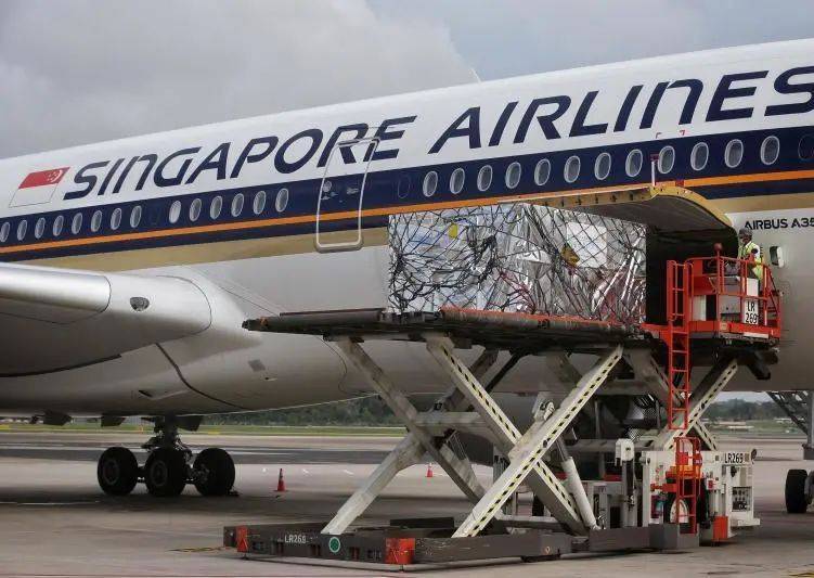 關于新加坡 COVID 19 疫苗接種安排，你需要知道這些