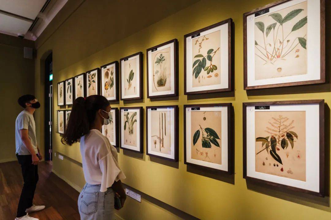 新加坡植物園3月最新兒童樂園,你肯定沒去過!16大遊玩攻略,走起