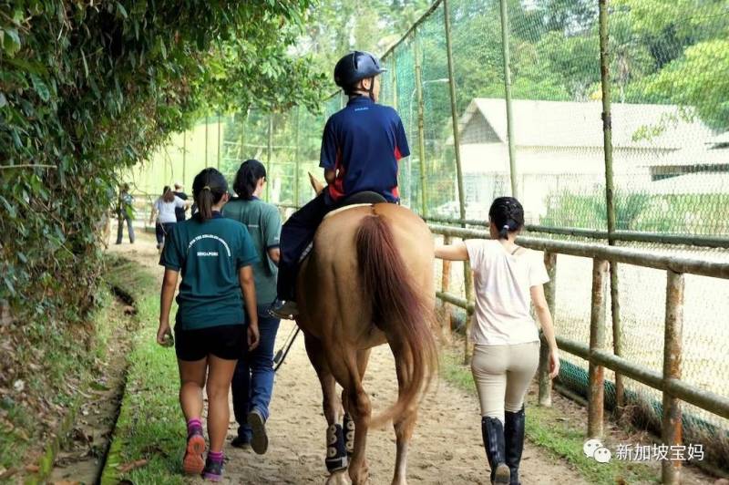 除了陪玩,你還應該在新加坡陪孩子做點有意義的事兒