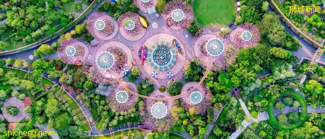 新加坡頂級設計，都在這裏